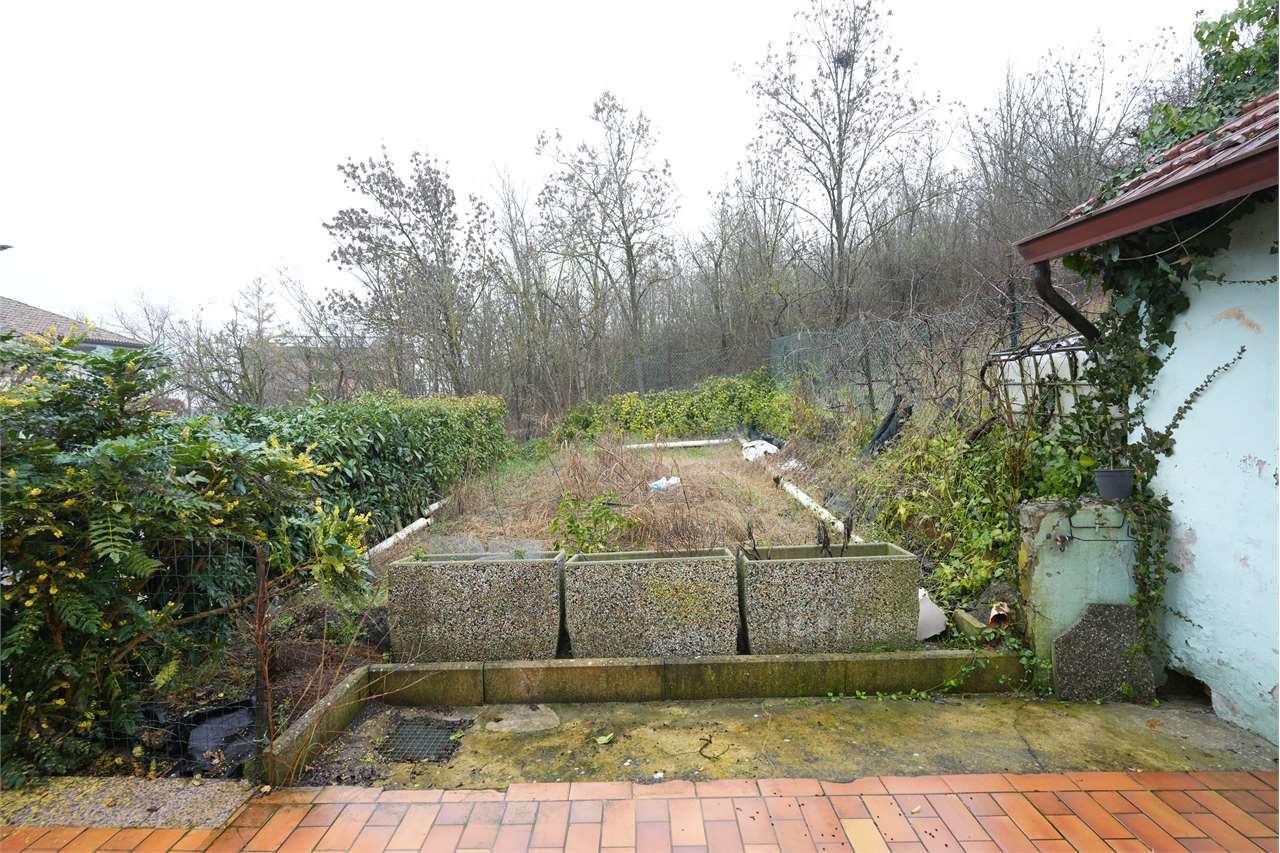 immagine annuncio 10 di 15