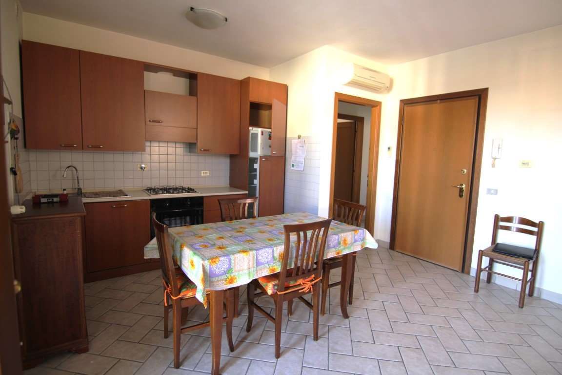 immagine annuncio 1 di 14