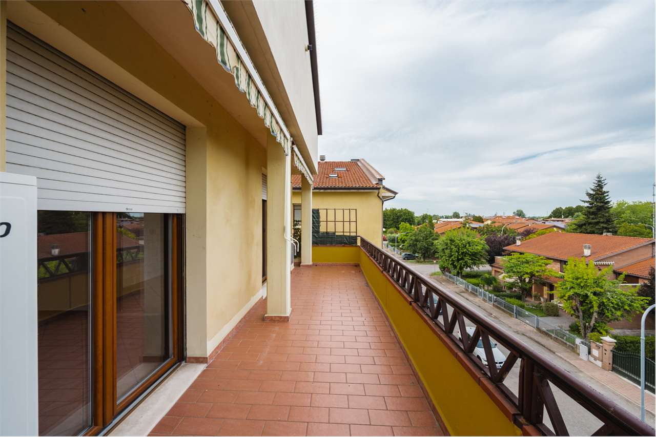 immagine annuncio 3 di 15