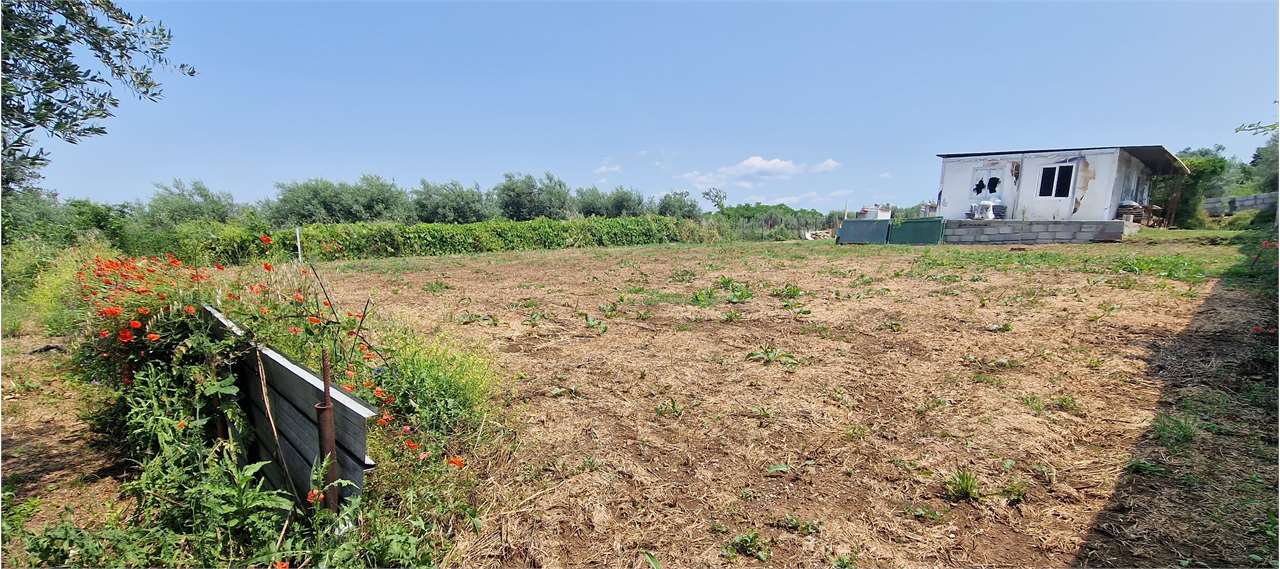 Fotografia Terreno Agricolo piccola 1