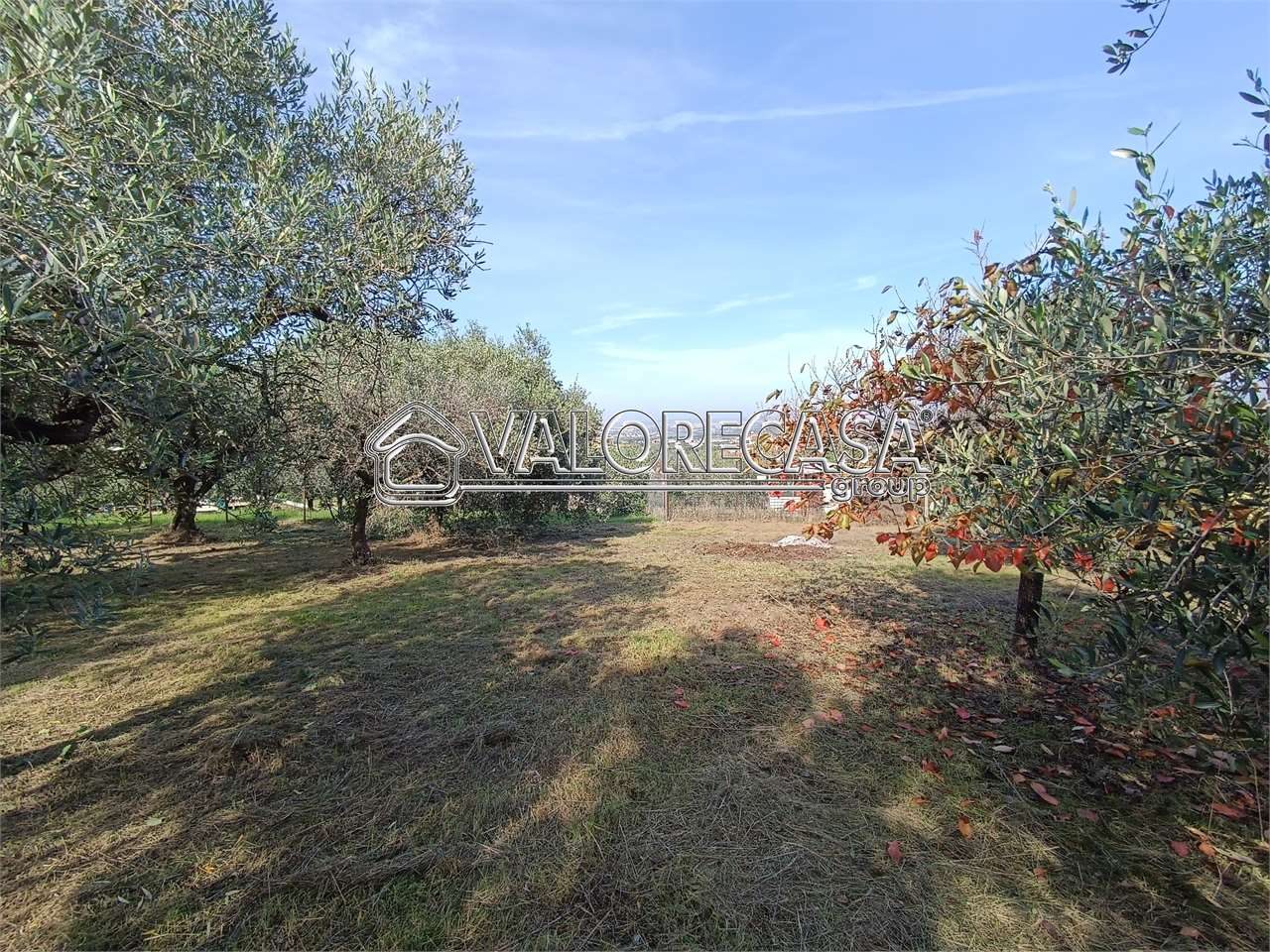 Fotografia Terreno Agricolo piccola 1