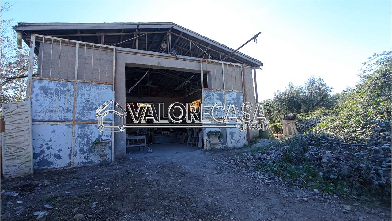 Fotografia Capannone Industriale piccola 1