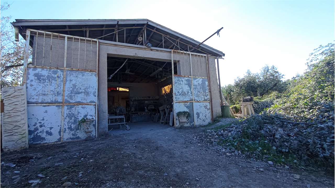 Fotografia dell'immobile