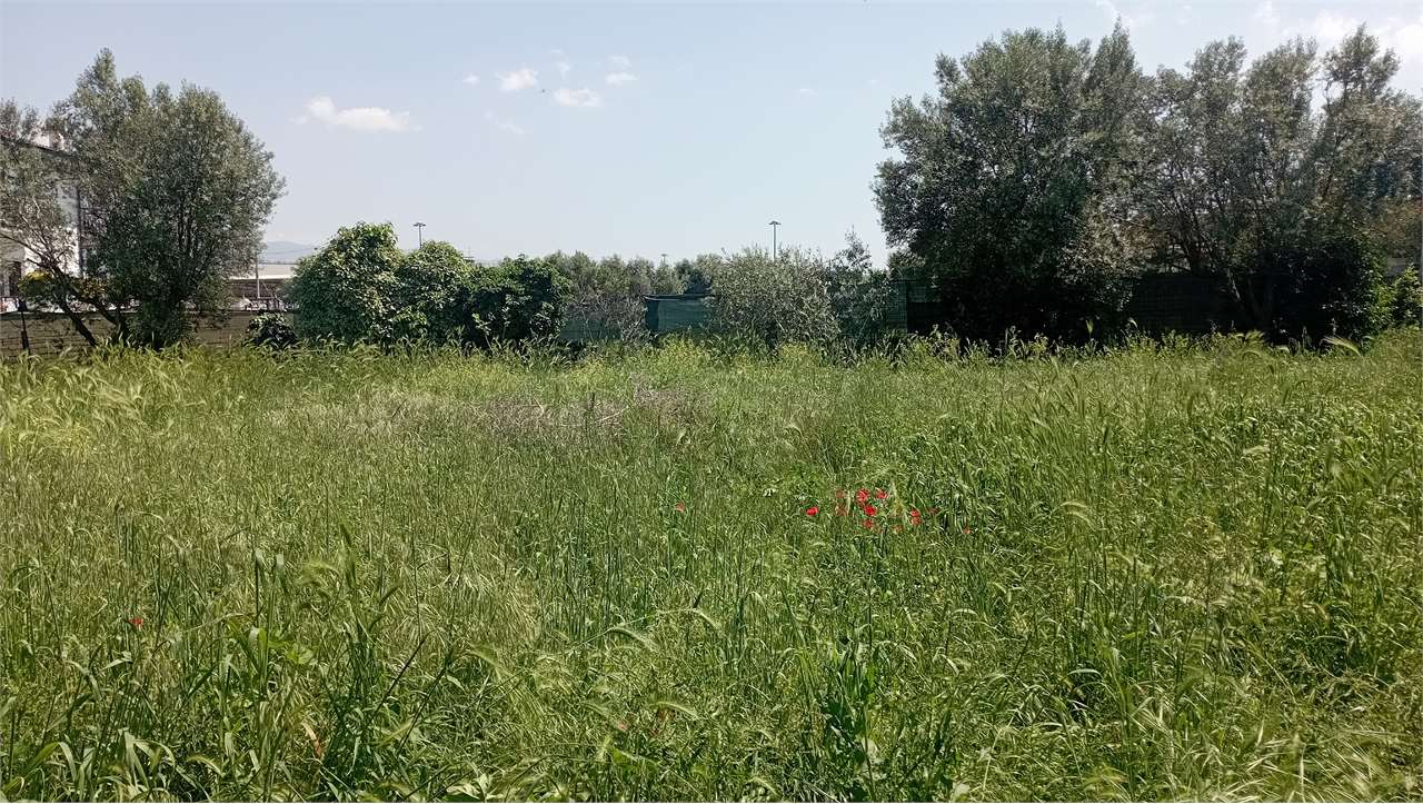Roma Vendita Terreno Agricolo