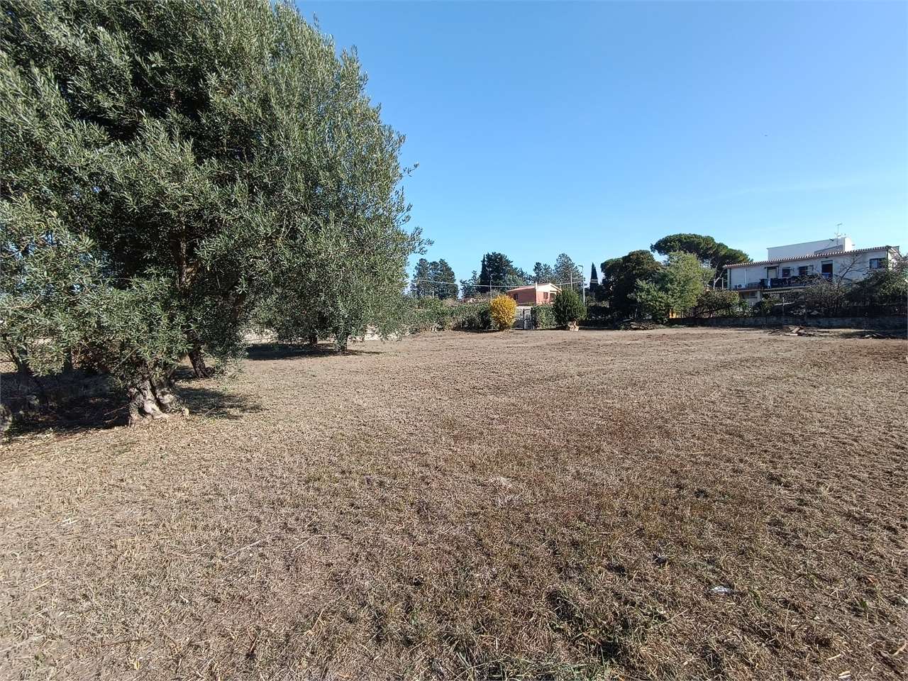 Zagarolo Vendita Terreno Edificabile