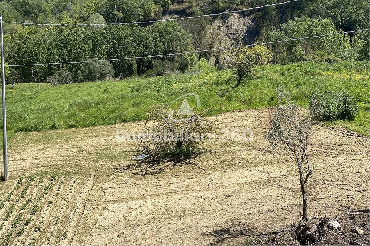 Fotografia Terreno Agricolo piccola 1