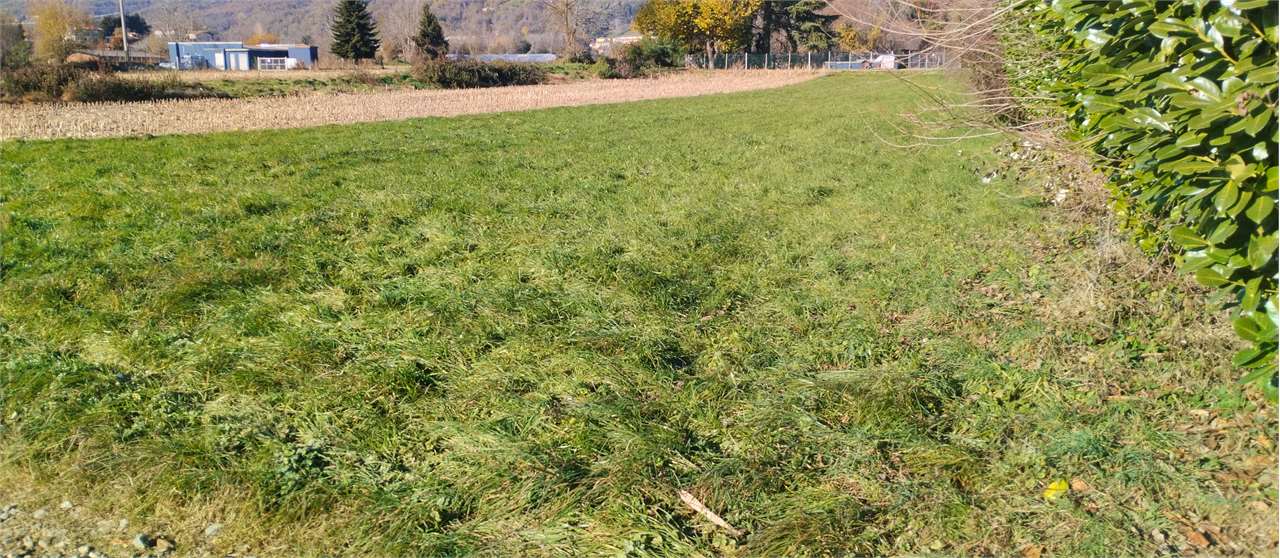 Fotografia Terreno Agricolo piccola 1