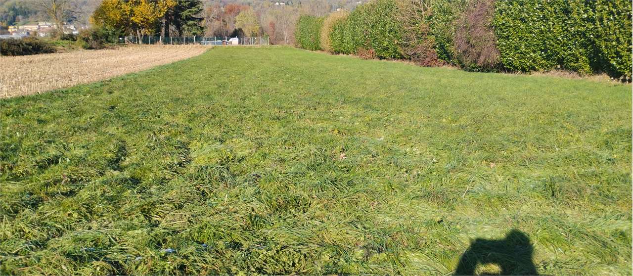 Terreno agricolo in vendita a Albese Con Cassano (CO)