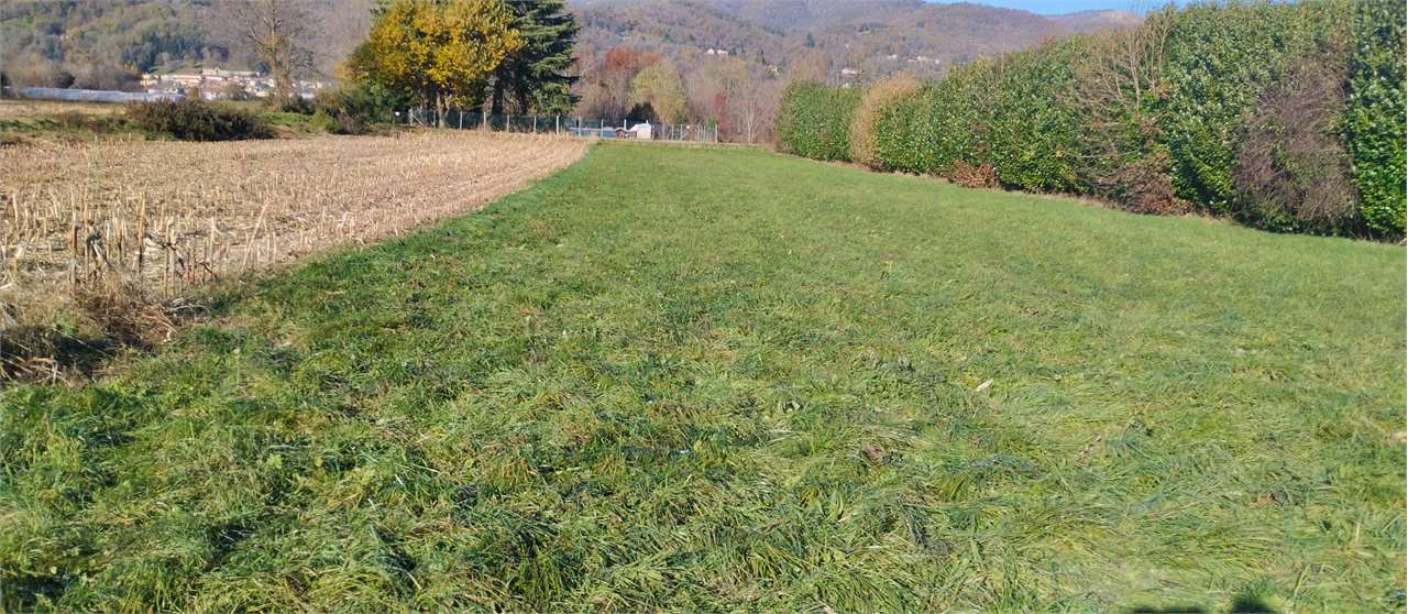 Terreno agricolo in vendita a Albese Con Cassano (CO)