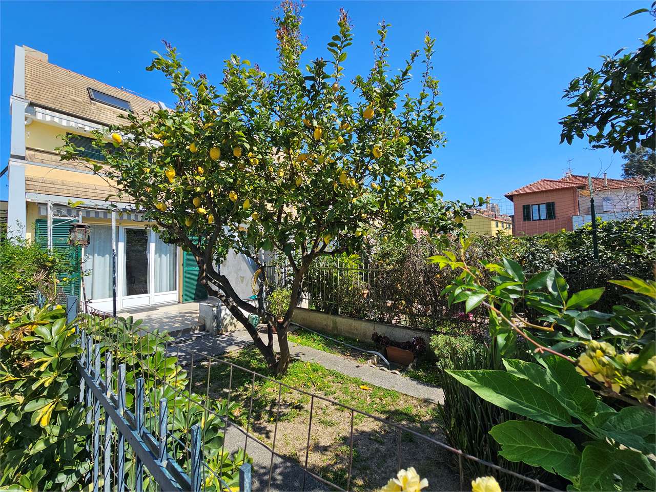 Cervo Vendita Villetta schiera