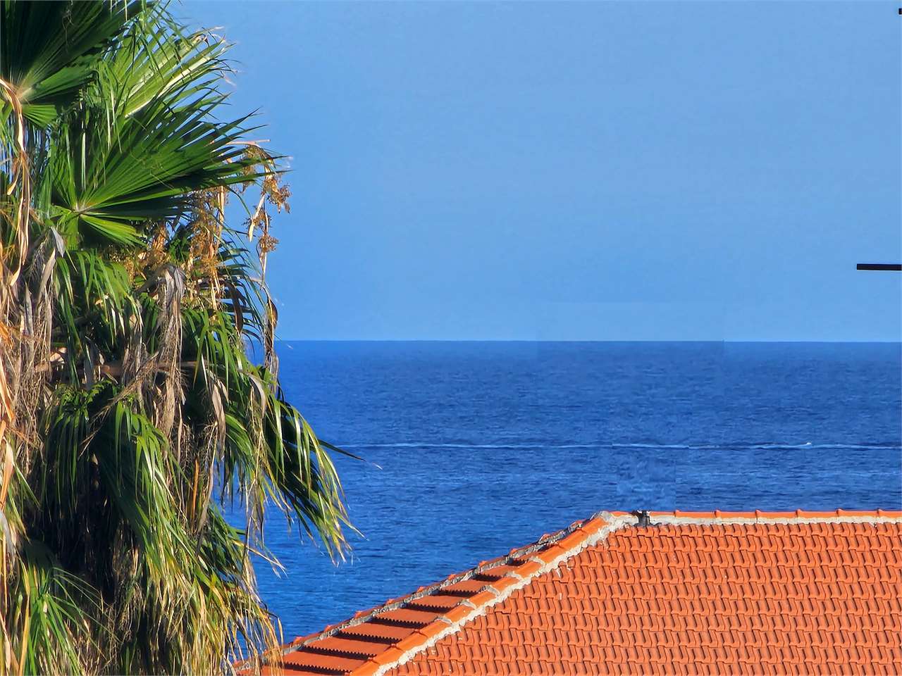 Diano Marina Vendita 3 locali