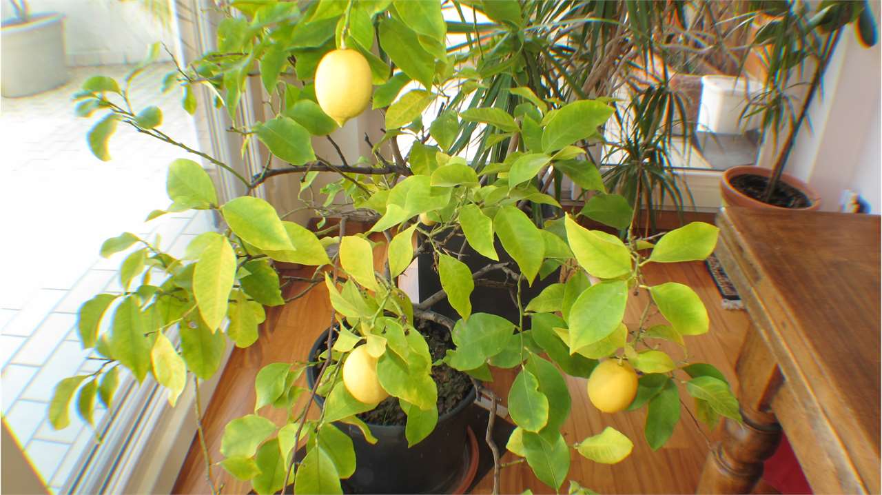 Bolzano/Bozen Vendita 4 o più locali