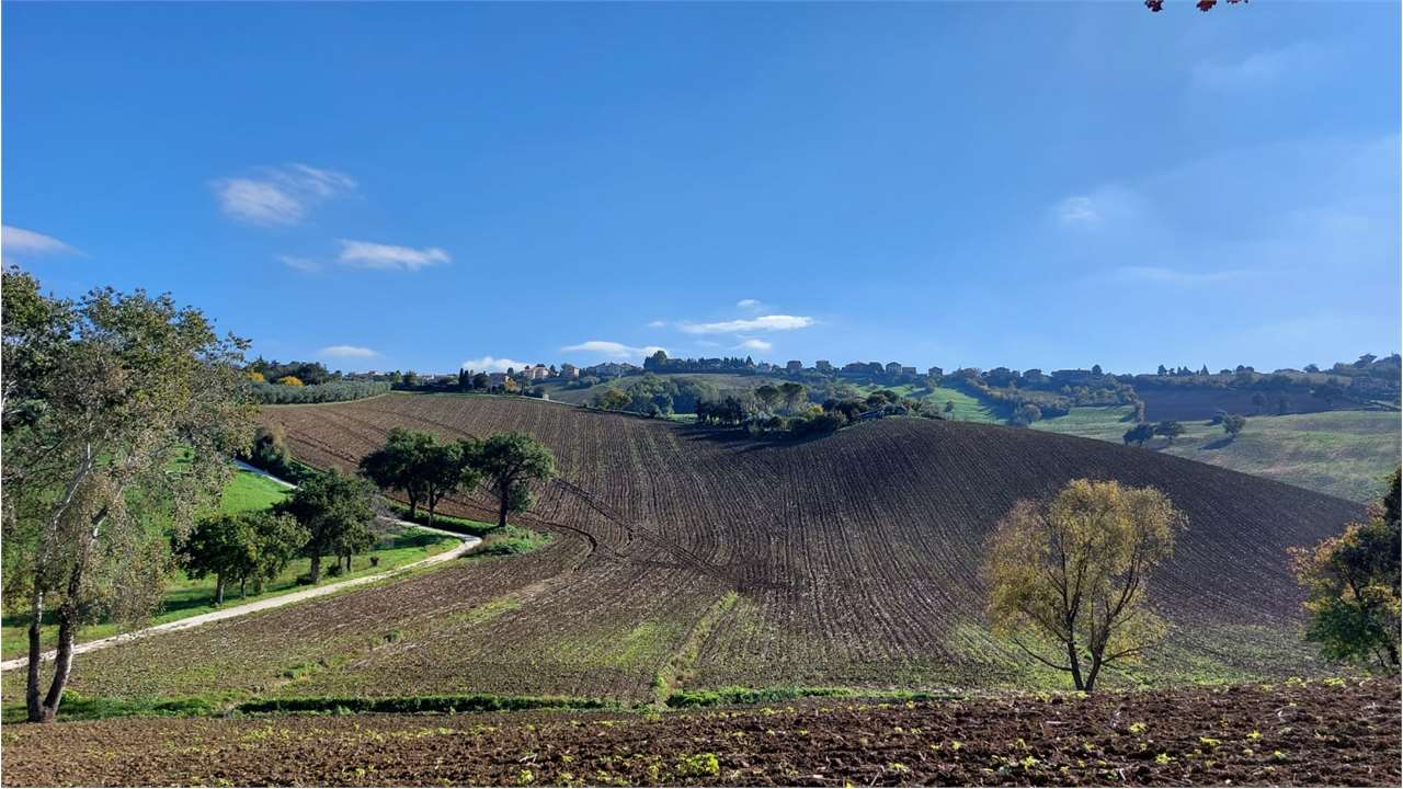 Rustico in vendita a Monsano (AN)