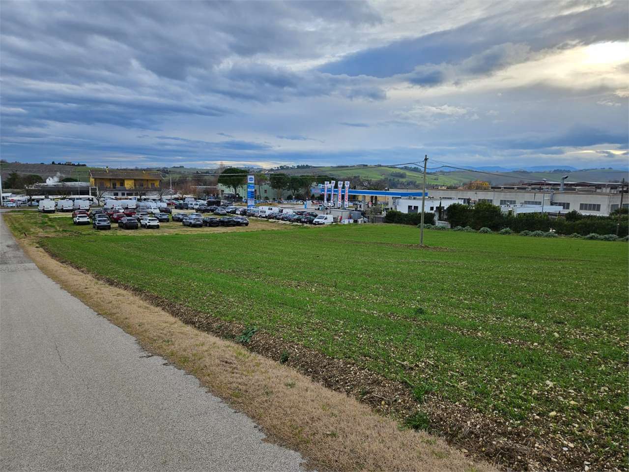 immagine annuncio 1 di 12