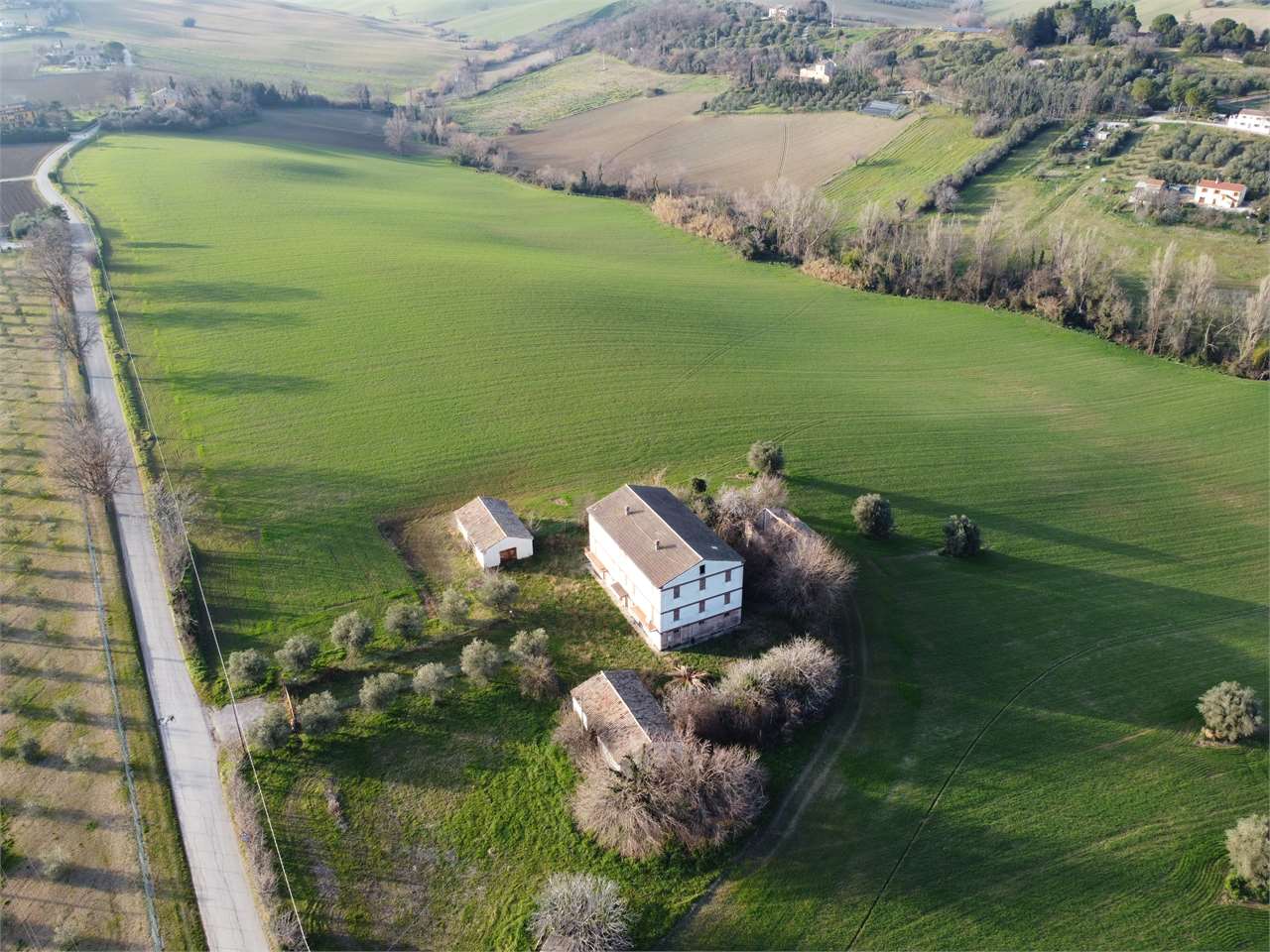 immagine annuncio 3 di 13