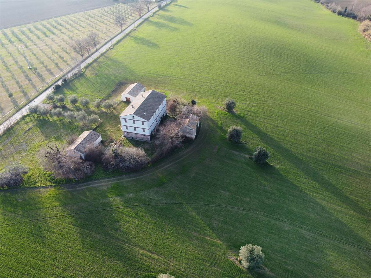 immagine annuncio 7 di 15