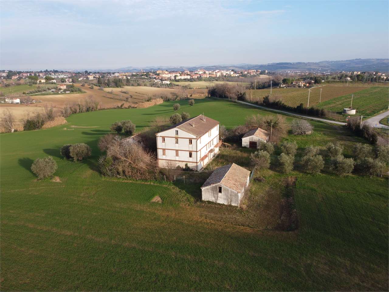 immagine annuncio 8 di 15