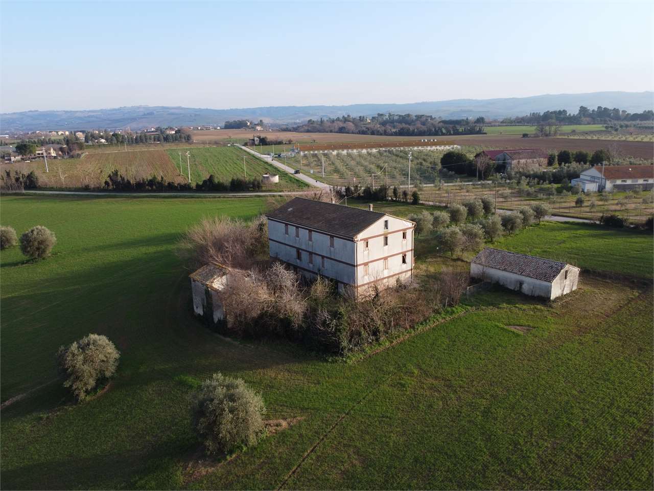 immagine annuncio 12 di 15