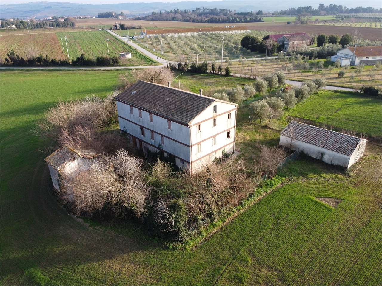 immagine annuncio 13 di 15