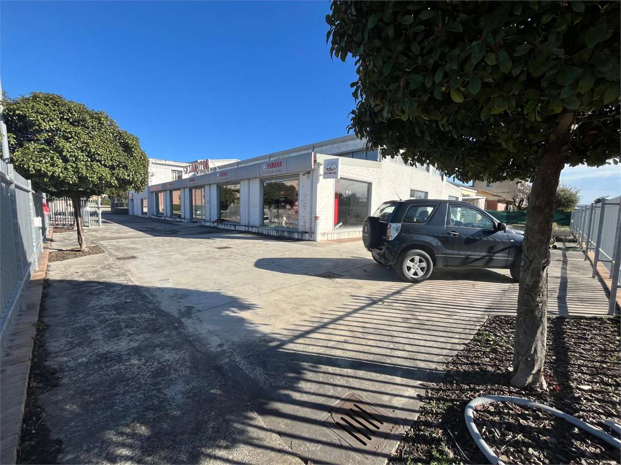 immagine annuncio 5 di 15