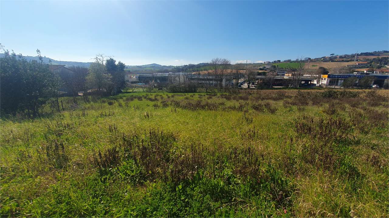 immagine annuncio 6 di 10