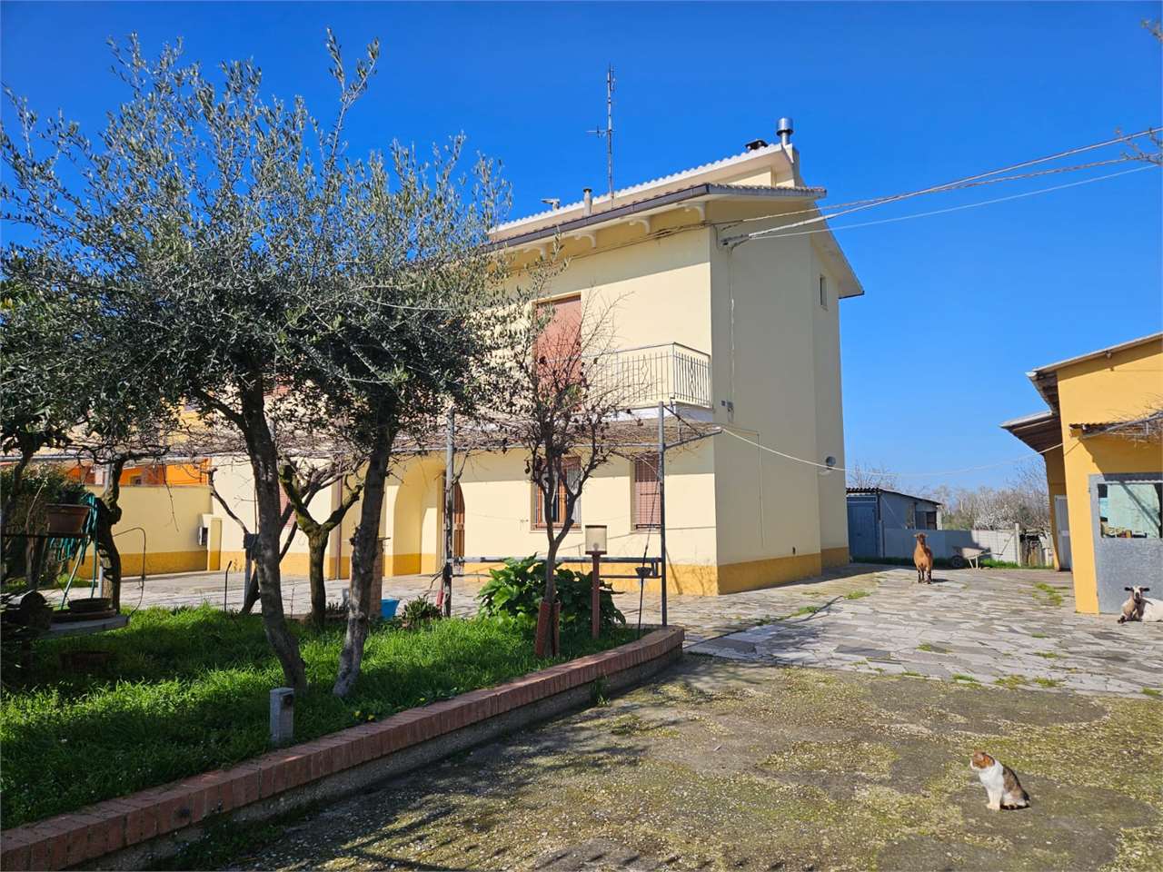 immagine annuncio 2 di 15