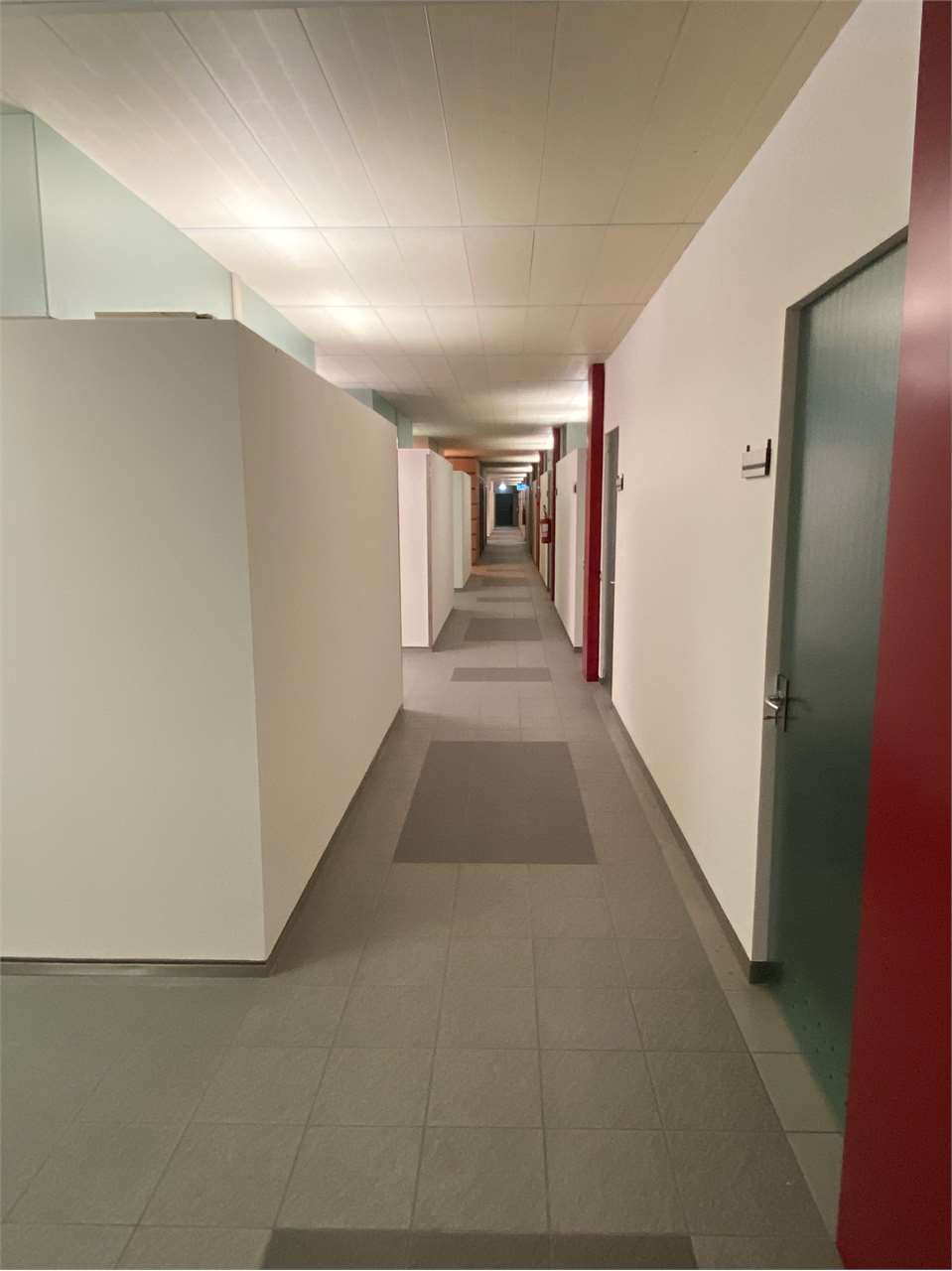immagine annuncio 10 di 14