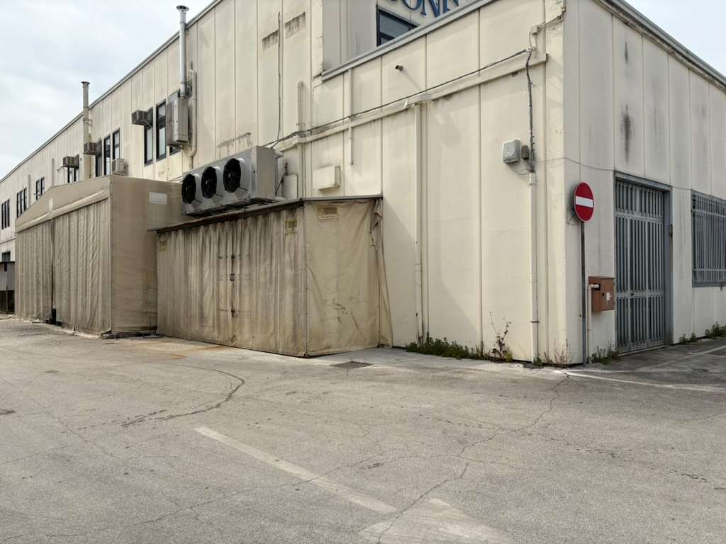 immagine annuncio 2 di 11