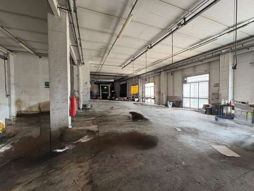 immagine annuncio 7 di 11