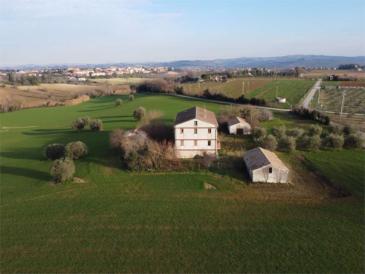immagine annuncio 7 di 13