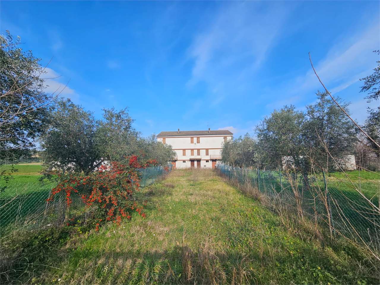 immagine annuncio 9 di 13