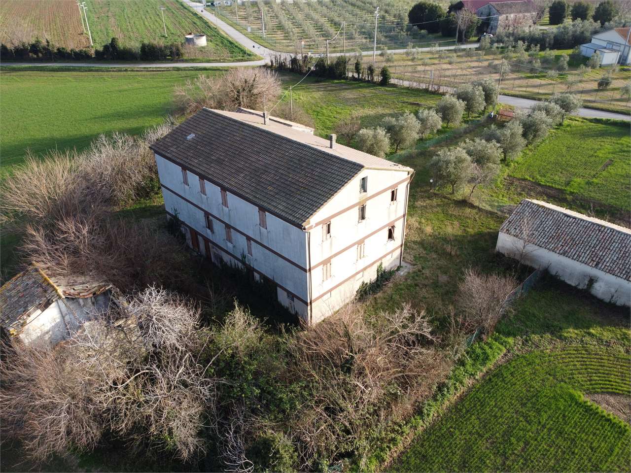 immagine annuncio 8 di 13