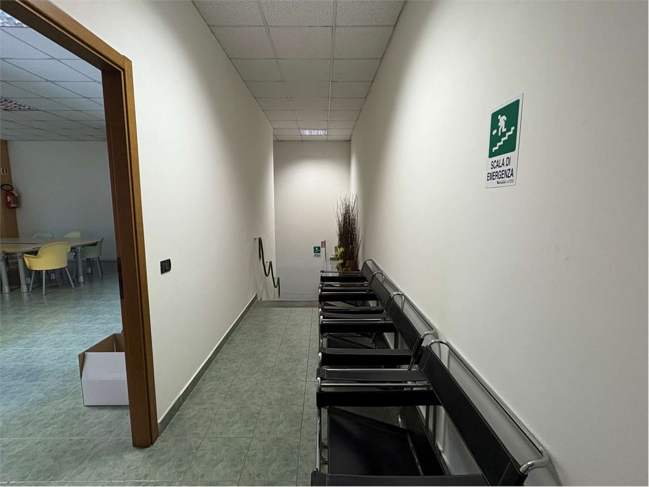immagine annuncio 6 di 14