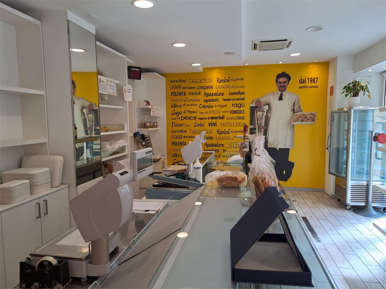 immagine annuncio 5 di 15