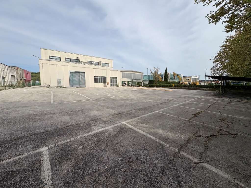 immagine annuncio 2 di 12