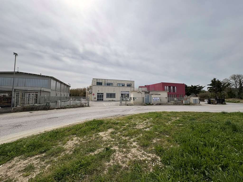 immagine annuncio 5 di 12