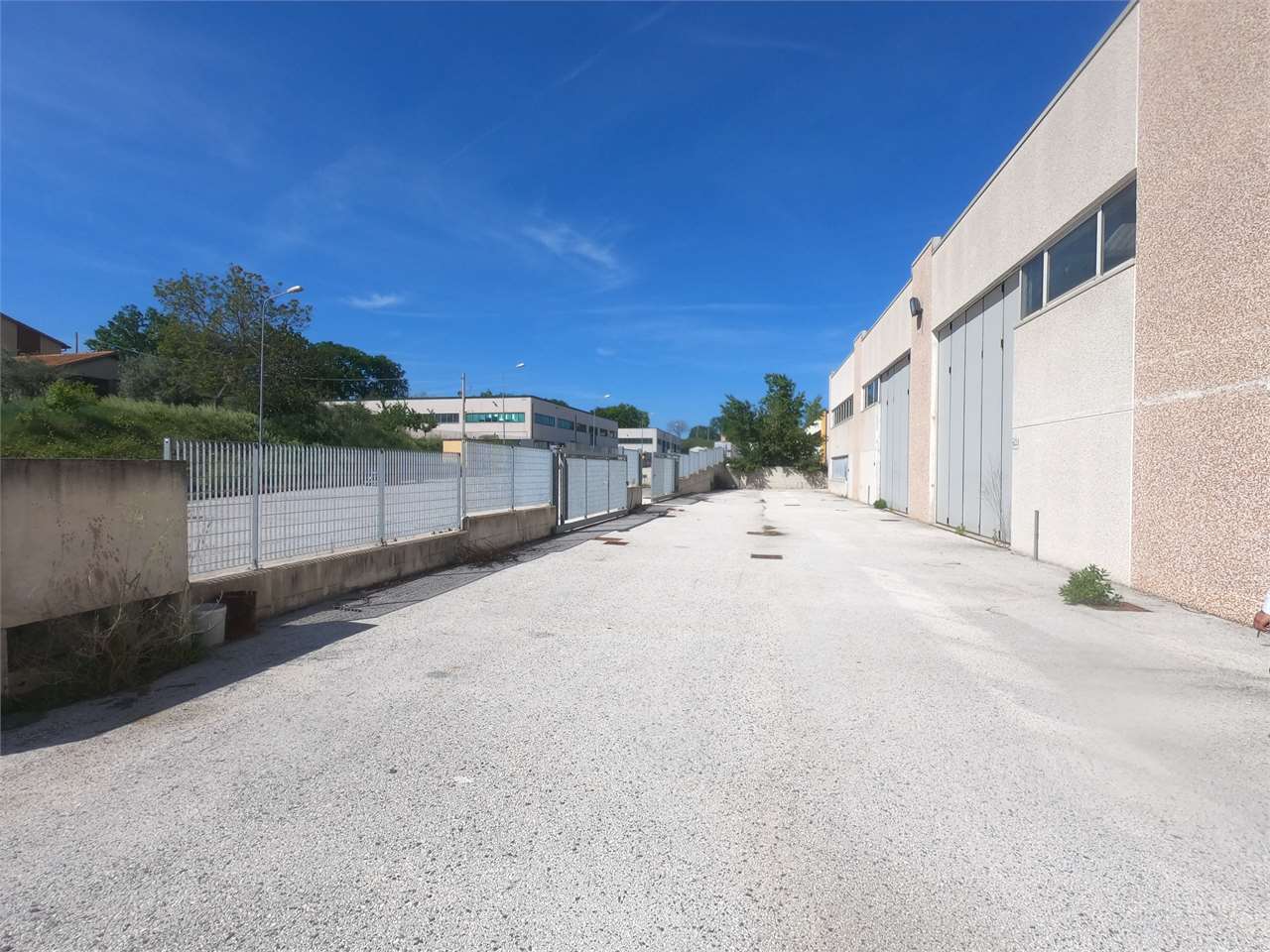 immagine annuncio 5 di 7