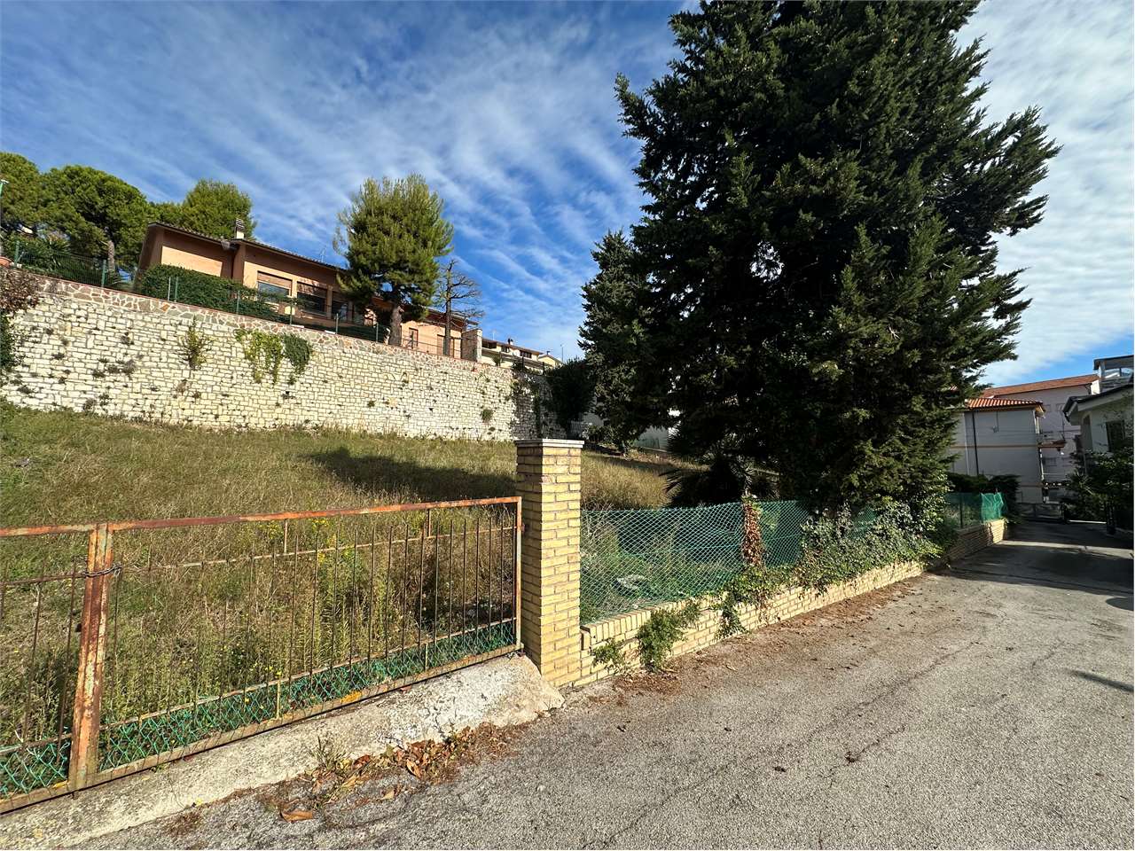 immagine annuncio 1 di 13