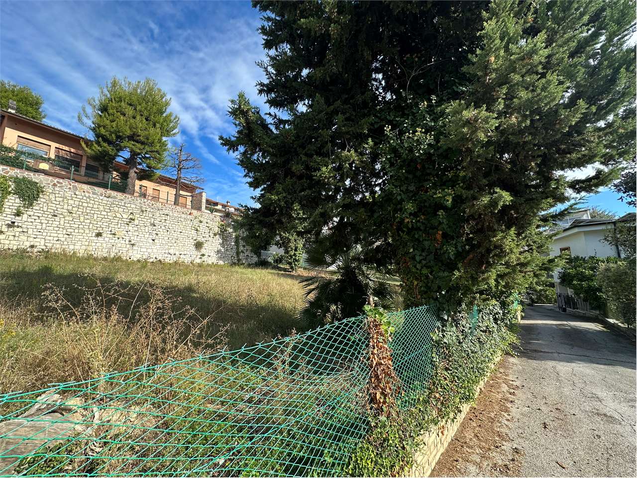 immagine annuncio 4 di 13