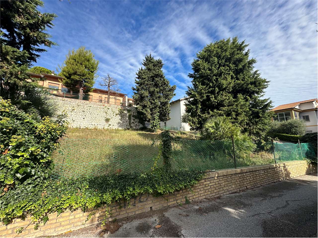 immagine annuncio 5 di 13