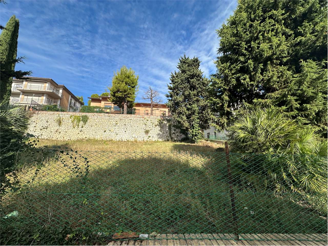 immagine annuncio 6 di 13