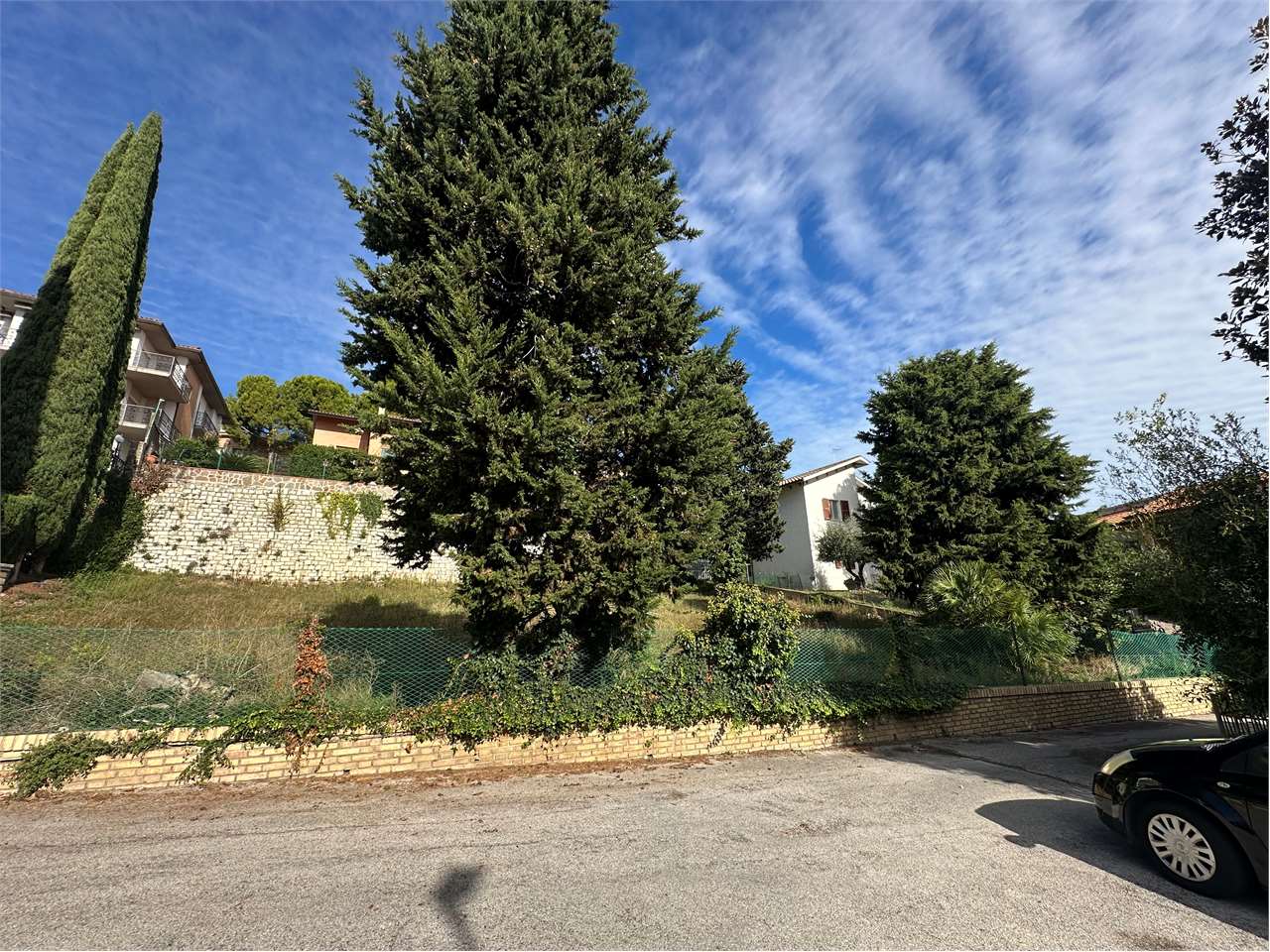 immagine annuncio 9 di 13