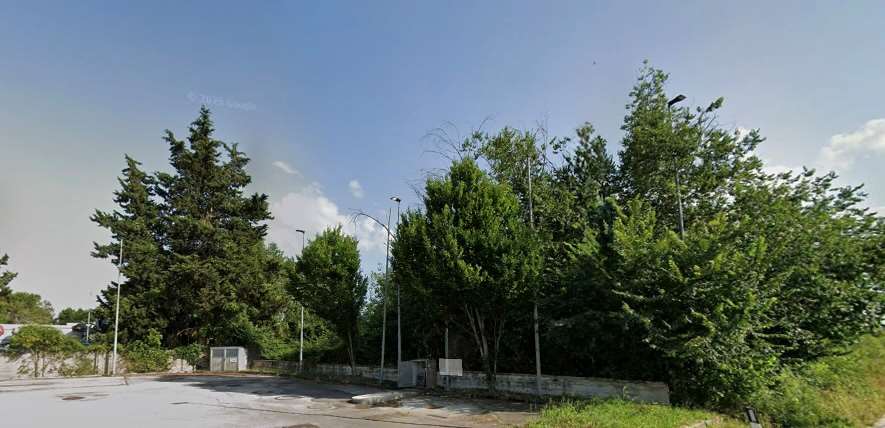 immagine annuncio 4 di 6