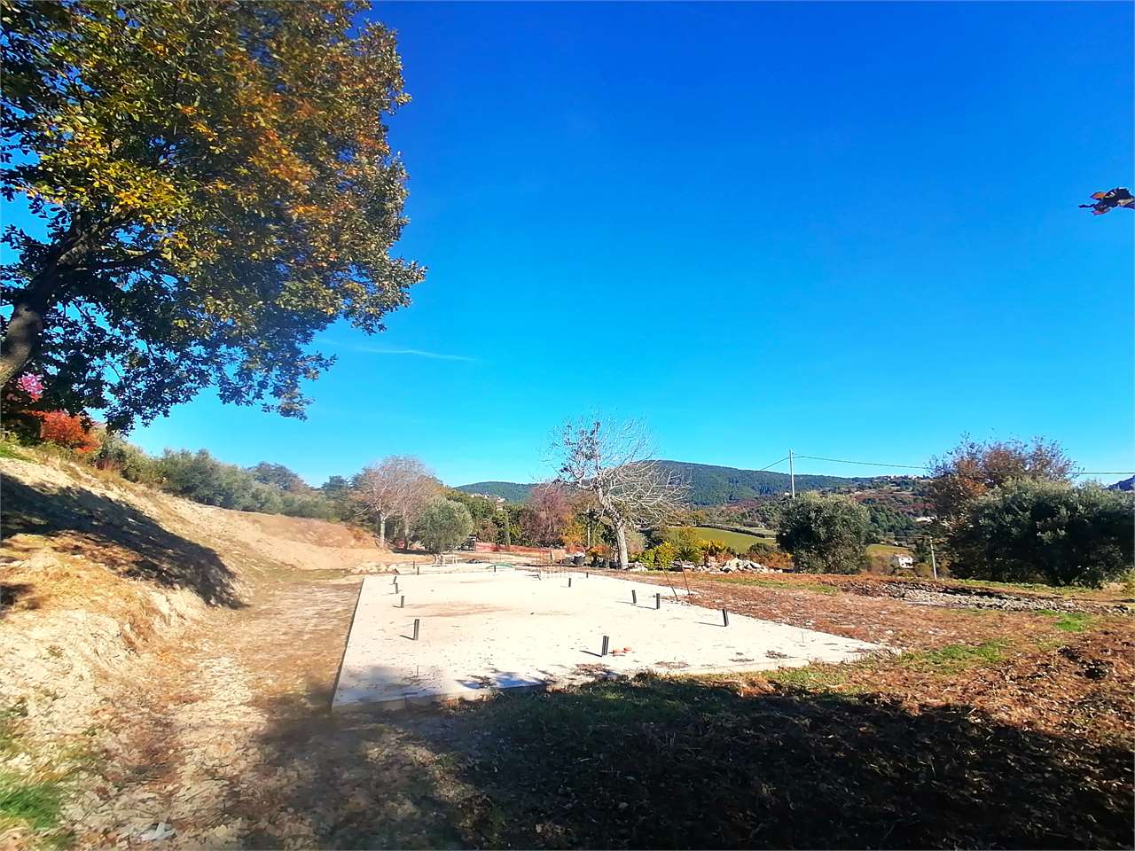 immagine annuncio 1 di 11