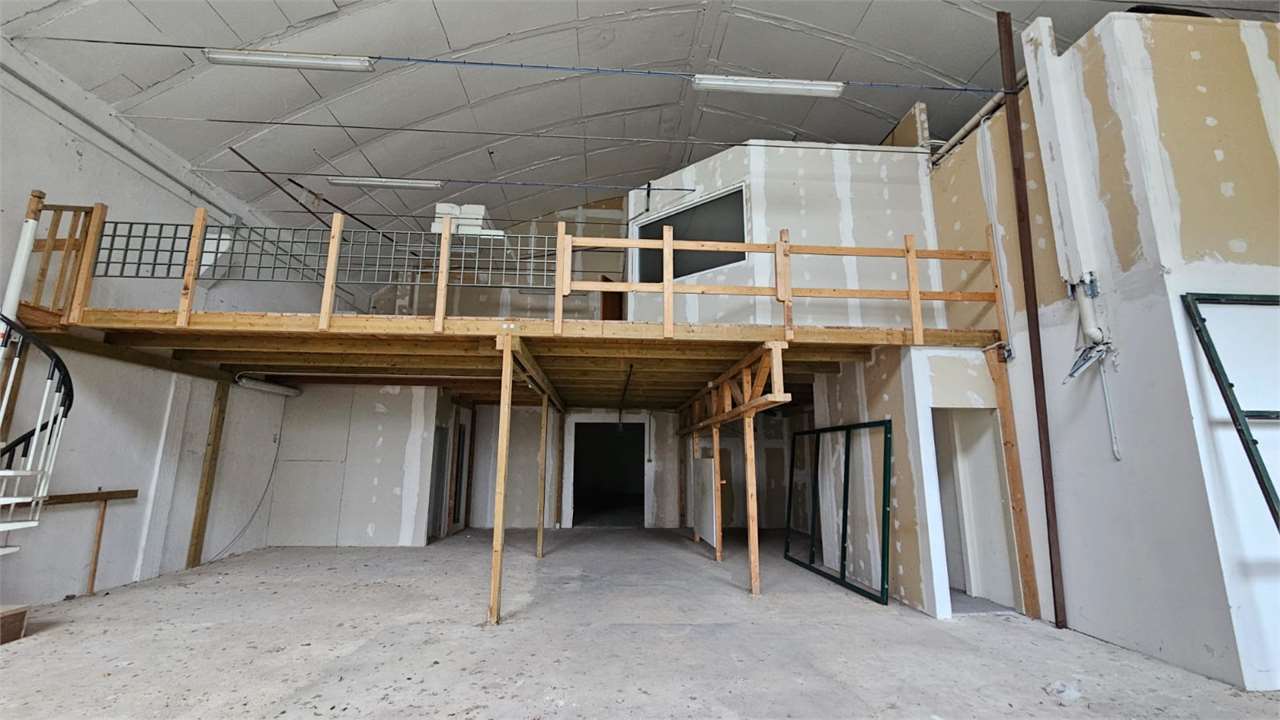 immagine annuncio 7 di 12