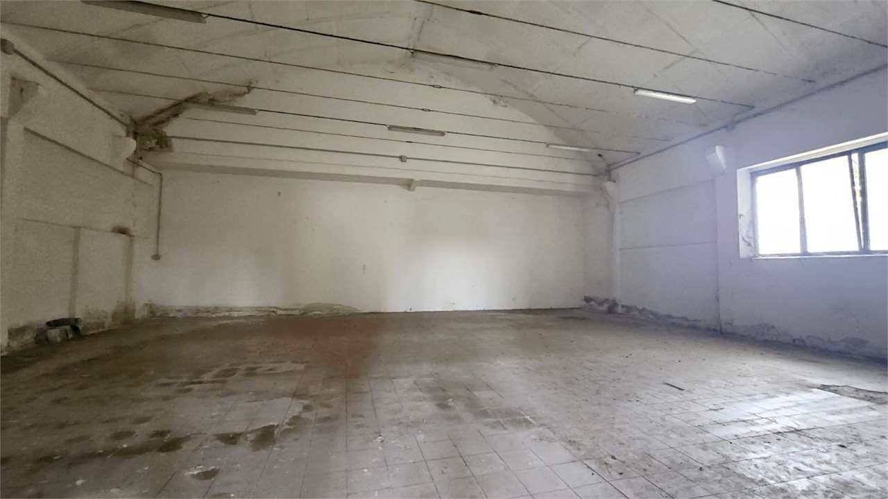 immagine annuncio 4 di 12