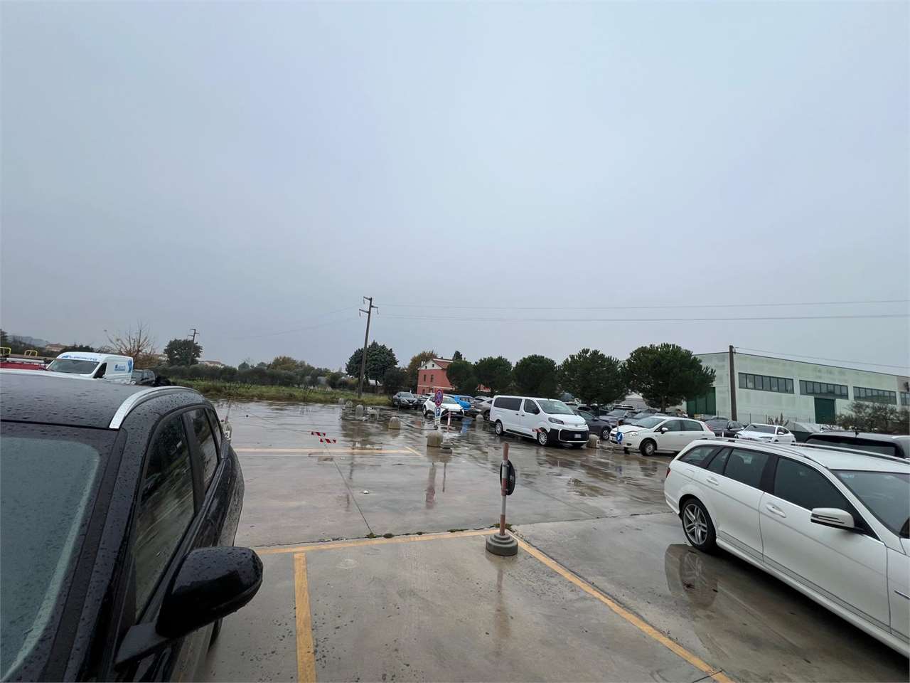 immagine annuncio 6 di 11