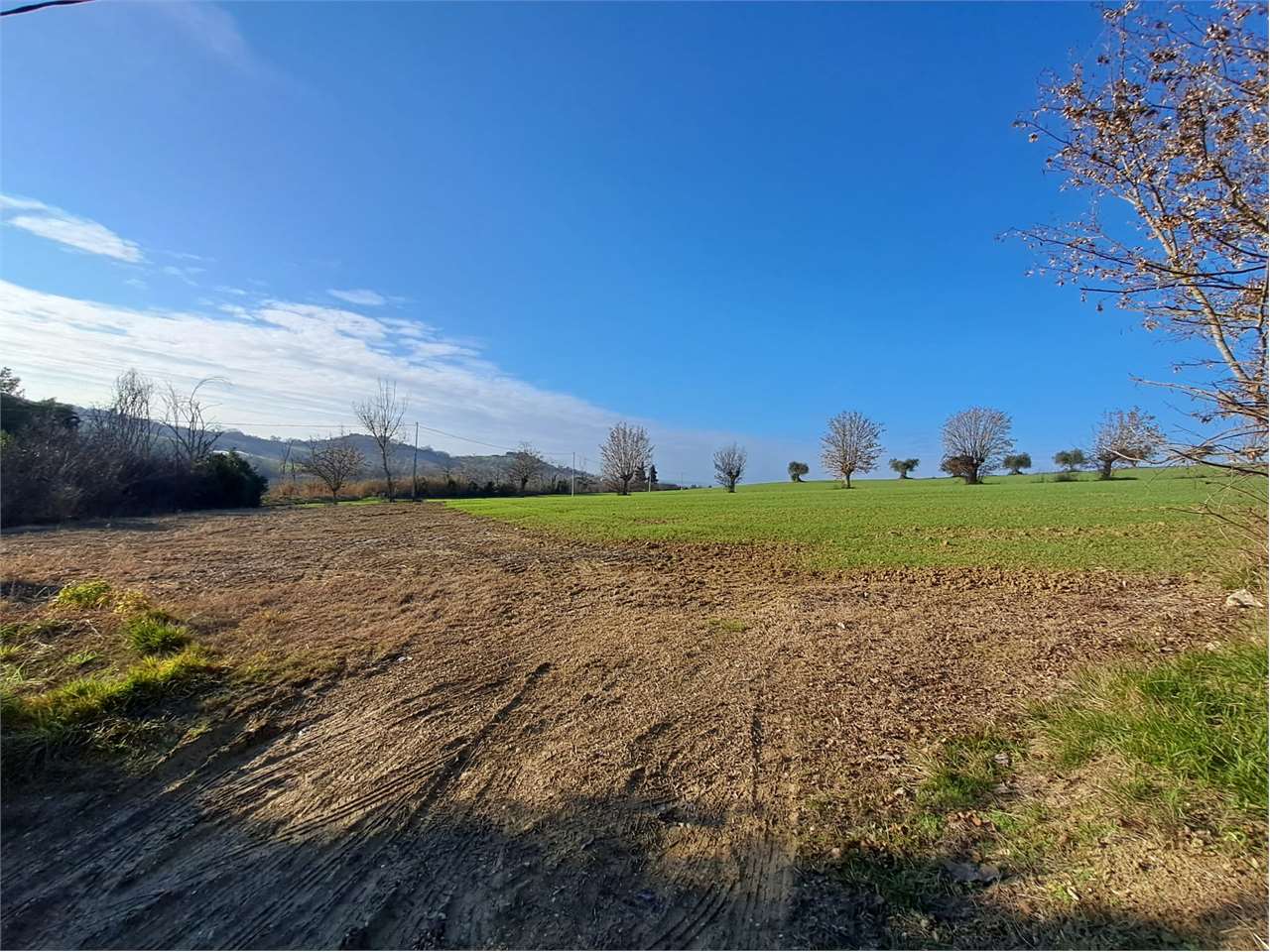 immagine annuncio 7 di 9