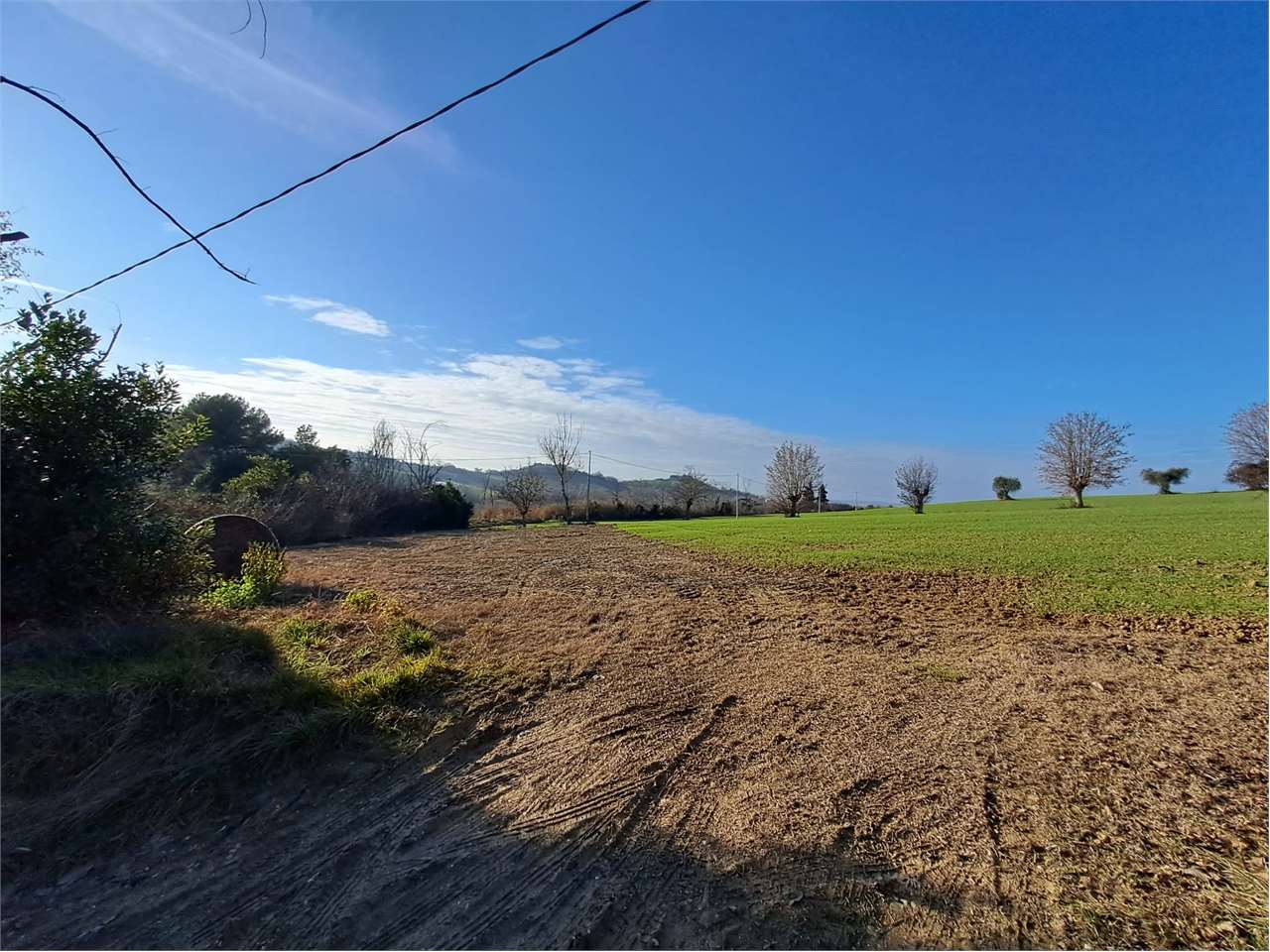 immagine annuncio 8 di 9