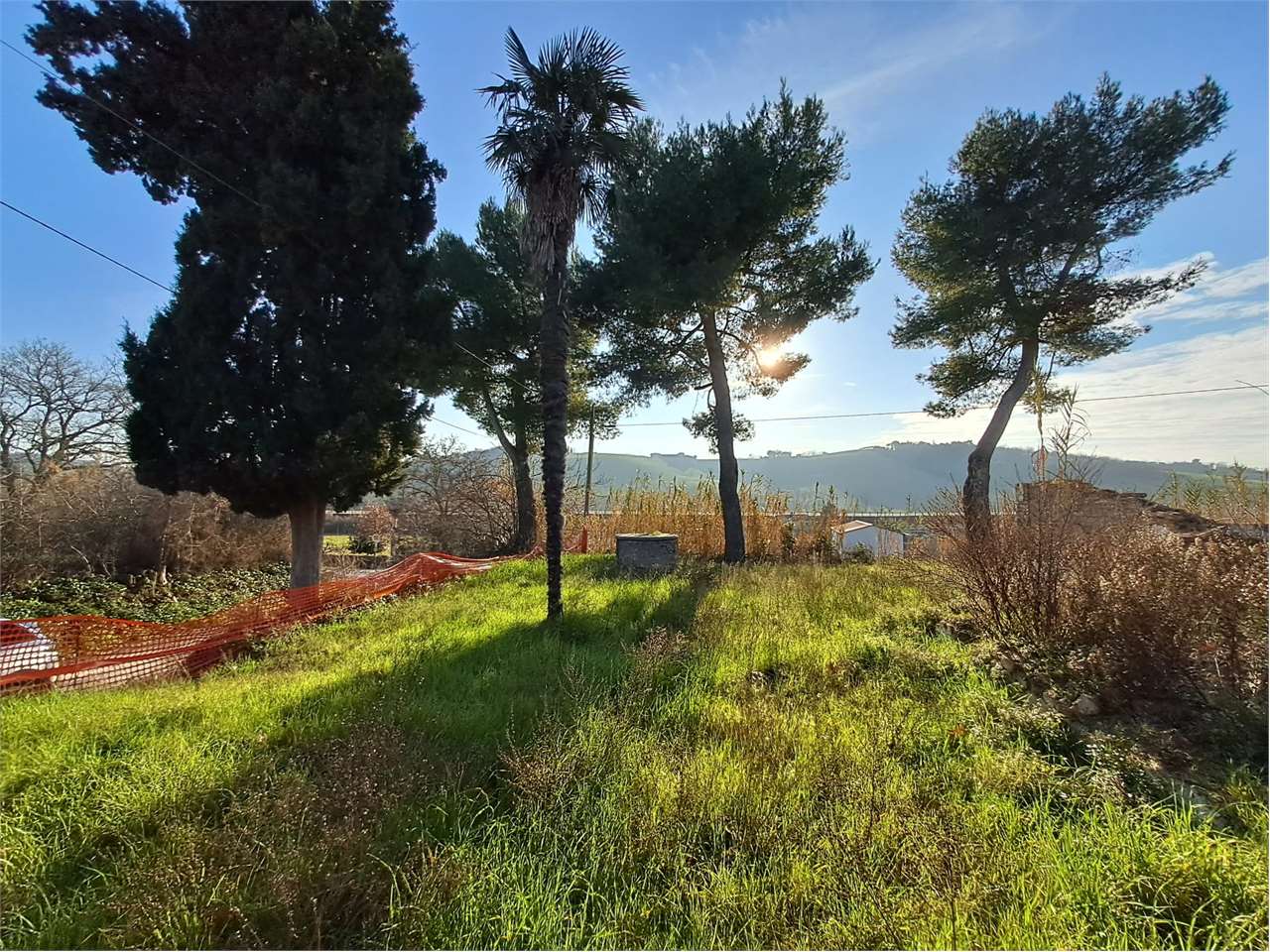 immagine annuncio 6 di 9